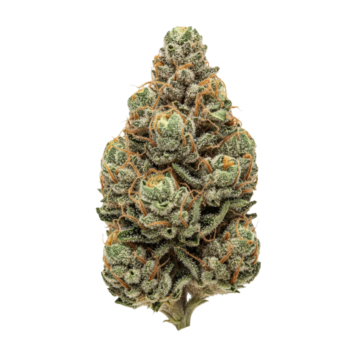 KI-generierte Illustration einer Cannabisblüte, zeigt nicht die tatsächliche Charge – ZOIKS 31/1 LK "OG Lime Kush"
