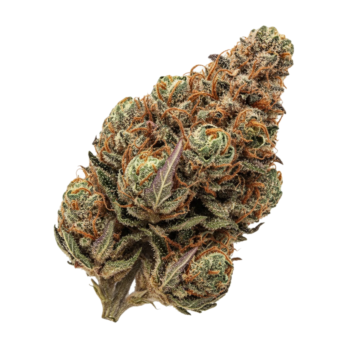 KI-generierte Illustration einer Cannabisblüte, zeigt nicht die tatsächliche Charge – ZOIKS 31/1 TG "Tangrini"